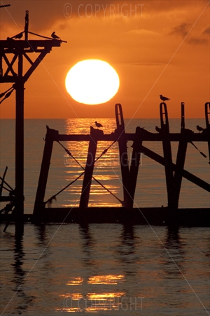 Brighton, West Pier 09