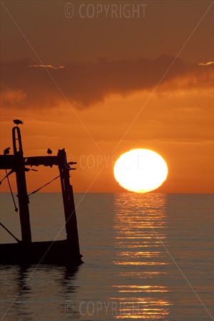 Brighton, West Pier 11