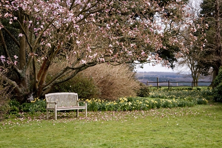 Spring 01