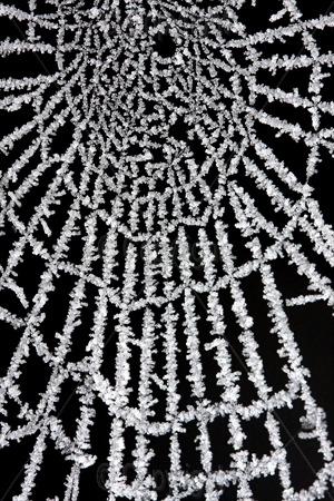 Frosty Web