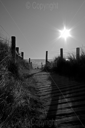 Littlehampton Sand Dunes 01